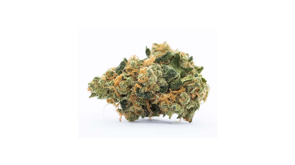 Cannabis Sorte Blute Bud Blute Apotheke Wirkung Thc Aroma Indica