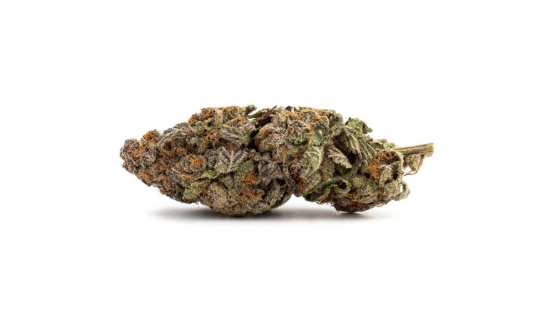 Cannabis Arzt Göttingen: Behandlung, Beratung & Therapie