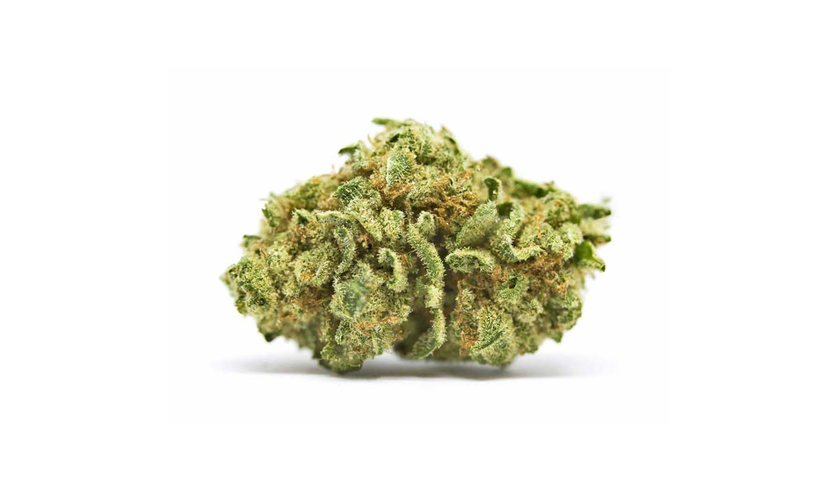 Cannabis Sorte Blute Bud Blute Apotheke Wirkung Thc Aroma Stinky
