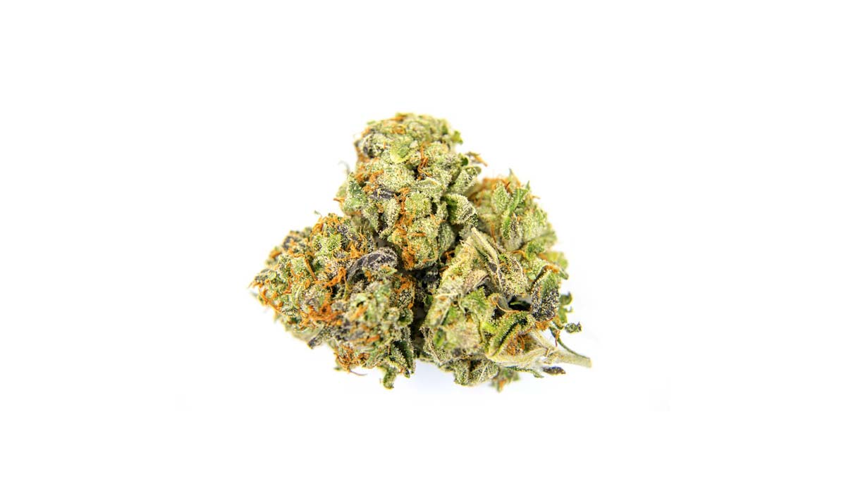 Platinum Grapes: Sorte, Aroma & THC Gehalt