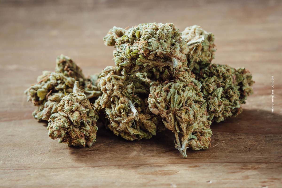 Wedding Cake: Sorte, Aroma & THC Gehalt