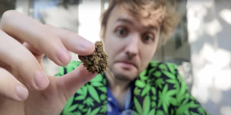 Humulen: Inhaltsstoffe, Nutzen & Forschung