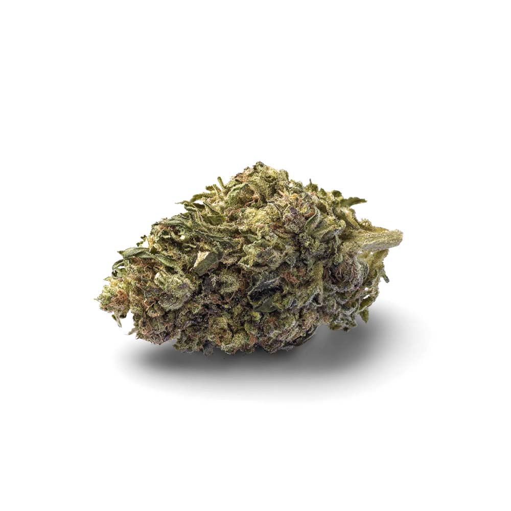 Shop Cannabis Rezept Cannabisblute Blute Gorilla Glue Weed Bestellen Kaufen Shop