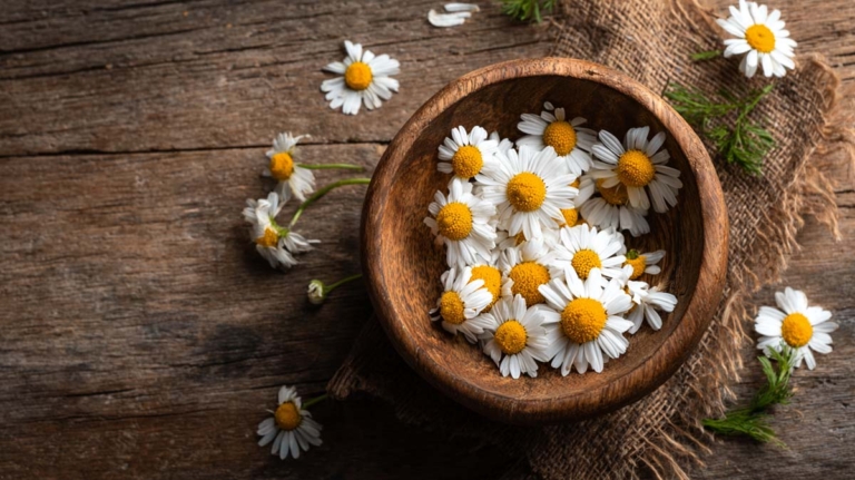 Marihuana und Blutdruck: Risiken, Gesundheit & Behandlung