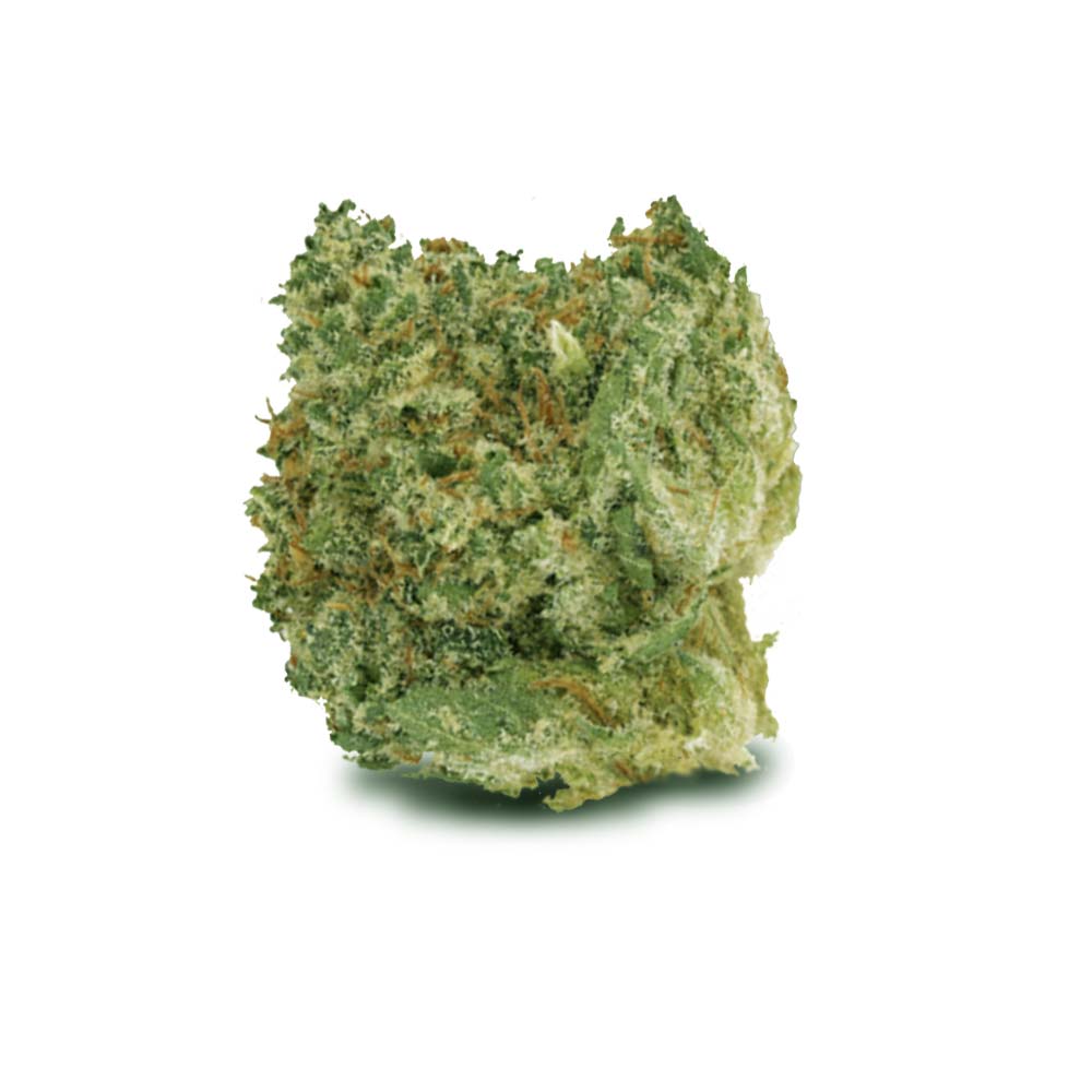 Bud Bunatic Shop