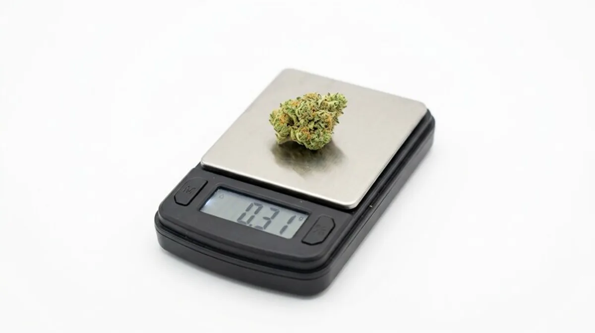 CBD im Gehirn: Funktion, Forschung, Potenzial & Neuroplastizität